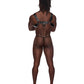 Leather Aries Single Ring Harness Black O/S